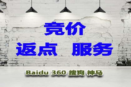 百度推广在电商行业的应用案例