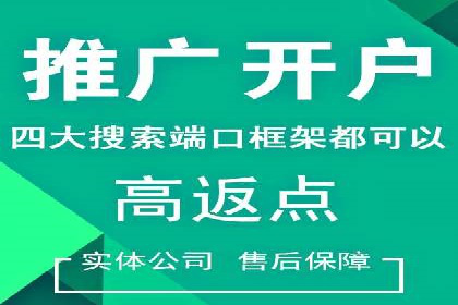 百度推广服务费案例：打造爆款产品营销策略